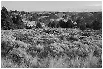 Grasses, sagebrush, and badlands. Upper Missouri River Breaks National Monument, Montana, USA ( black and white)