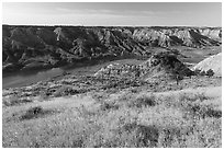 Grasses, badlands, and Missouri River. Upper Missouri River Breaks National Monument, Montana, USA ( black and white)