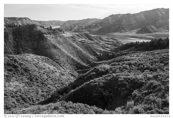 Sage-covered slopes. Upper Missouri River Breaks National Monument, Montana, USA (black and white)