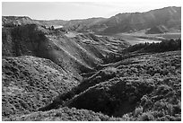 Sage-covered slopes. Upper Missouri River Breaks National Monument, Montana, USA ( black and white)