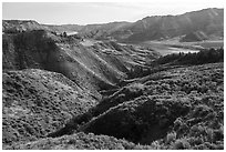 Sage-covered slopes. Upper Missouri River Breaks National Monument, Montana, USA ( black and white)