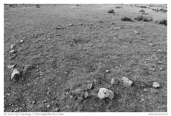 Tipi ring. Upper Missouri River Breaks National Monument, Montana, USA (black and white)