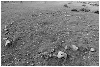 Tipi ring. Upper Missouri River Breaks National Monument, Montana, USA ( black and white)