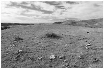 Teepee ring, Little Sandy. Upper Missouri River Breaks National Monument, Montana, USA ( black and white)