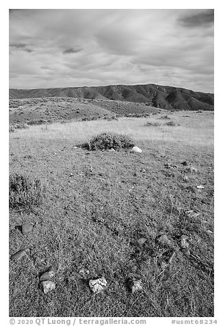 Tepee ring, Little Sandy. Upper Missouri River Breaks National Monument, Montana, USA (black and white)