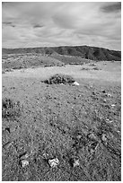 Tepee ring, Little Sandy. Upper Missouri River Breaks National Monument, Montana, USA ( black and white)