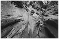 Slot canyon, Neat Coulee. Upper Missouri River Breaks National Monument, Montana, USA ( black and white)