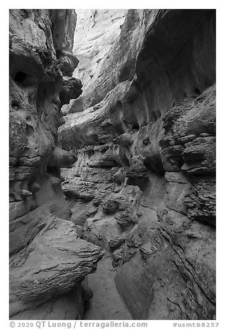 Twisted passages in Neat Coulee slot canyon. Upper Missouri River Breaks National Monument, Montana, USA (black and white)