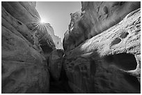 Sandstone walls of Neat Coulee slot canyon and sun. Upper Missouri River Breaks National Monument, Montana, USA ( black and white)