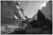 Canyon, Neat Coulee. Upper Missouri River Breaks National Monument, Montana, USA ( black and white)