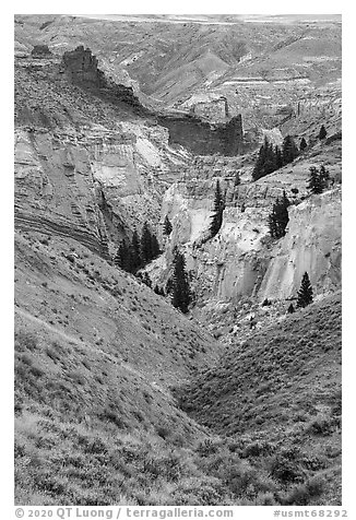 Ridges and canyon walls, Valley of the Walls. Upper Missouri River Breaks National Monument, Montana, USA