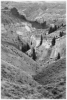 Ridges and canyon walls, Valley of the Walls. Upper Missouri River Breaks National Monument, Montana, USA ( black and white)