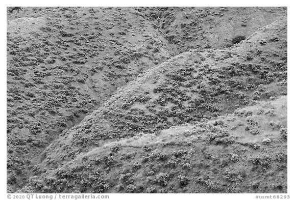 Hill ridges. Upper Missouri River Breaks National Monument, Montana, USA (black and white)