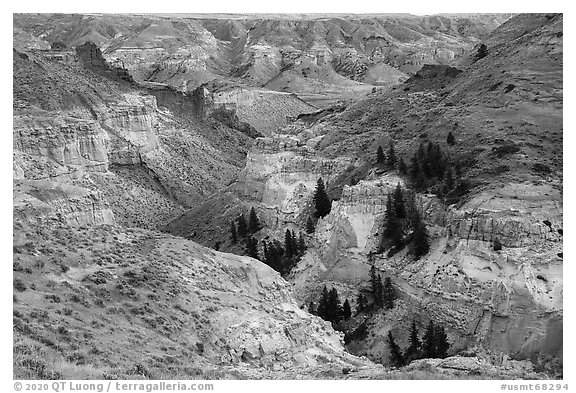 Canyon walls of Valley of the Walls. Upper Missouri River Breaks National Monument, Montana, USA (black and white)