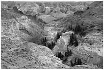 Canyon walls of Valley of the Walls. Upper Missouri River Breaks National Monument, Montana, USA ( black and white)