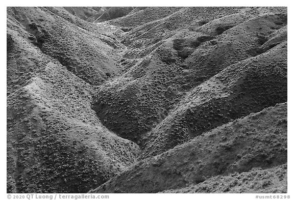 Creek carving hills upstream of Valley of the Walls. Upper Missouri River Breaks National Monument, Montana, USA