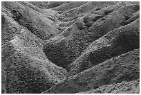 Creek carving hills upstream of Valley of the Walls. Upper Missouri River Breaks National Monument, Montana, USA ( black and white)