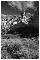 Sotol and sandstone pinnacle. Upper Missouri River Breaks National Monument, Montana, USA ( black and white)