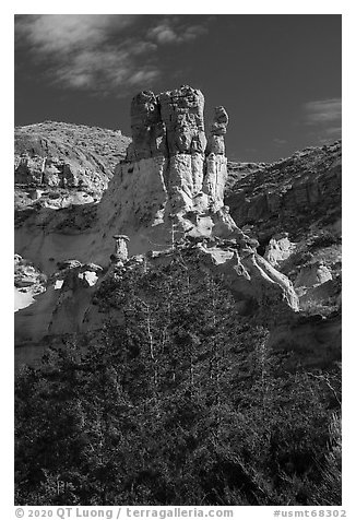 Tree and rock pinnacle. Upper Missouri River Breaks National Monument, Montana, USA