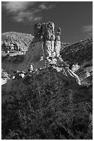 Tree and rock pinnacle. Upper Missouri River Breaks National Monument, Montana, USA ( black and white)