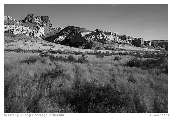 Grassland and Dark Butte. Upper Missouri River Breaks National Monument, Montana, USA