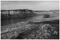 Grasses and cliffs, Slaughter River Camp. Upper Missouri River Breaks National Monument, Montana, USA ( black and white)