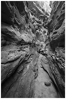 Narrow Neat Coulee slot canyon. Upper Missouri River Breaks National Monument, Montana, USA ( black and white)