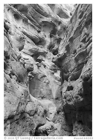 Knobs and holes in canyon walls, Neat Coulee. Upper Missouri River Breaks National Monument, Montana, USA (black and white)