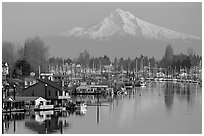 Houseboats on North Portland Harbor and snow-covered Mt Hood. Portland, Oregon, USA (black and white)