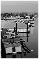 Houseboats and Mt Hood. Portland, Oregon, USA ( black and white)