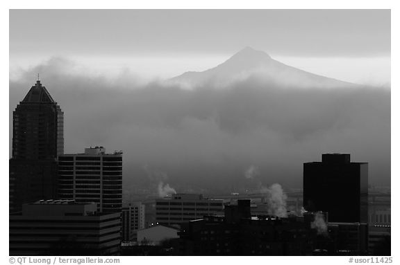 High rise buildings and Mt Hood at sunrise. Portland, Oregon, USA (black and white)