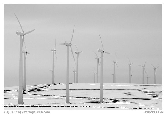 Electricity-generating windmills. Oregon, USA (black and white)