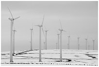Electricity-generating windmills. Oregon, USA (black and white)