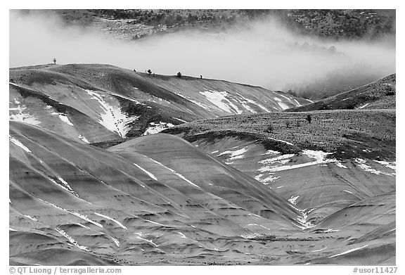 Painted hills with snow and fog. John Day Fossils Bed National Monument, Oregon, USA (black and white)