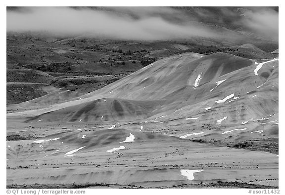 Painted hills and fog, winter dusk. John Day Fossils Bed National Monument, Oregon, USA