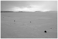 Frozen Klamath Lakes. Oregon, USA ( black and white)