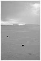 Pebbles on Frozen Klamath Lake. Oregon, USA ( black and white)