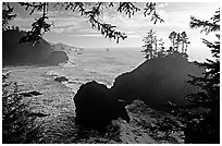 Coastline and trees, late afternoon, Samuel Boardman State Park. Oregon, USA ( black and white)