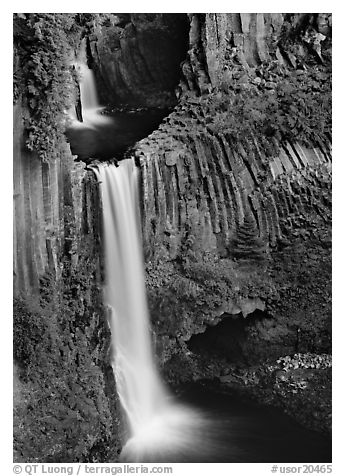 Basalt columns and Toketee Falls. Oregon, USA (black and white)