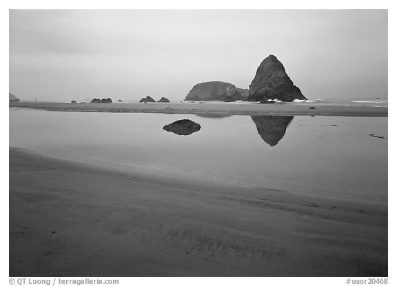 Triangular rock reflected in beach tidepool. Oregon, USA (black and white)