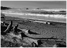 Logs on beach and surf near Bandon. Bandon, Oregon, USA (black and white)