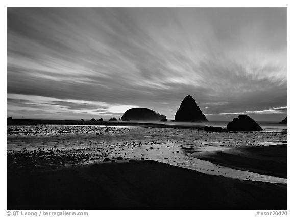 Seastacks and clouds at sunset. USA (black and white)