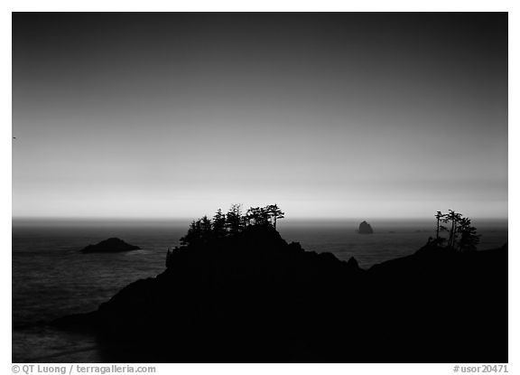 Headlands with trees at sunset. USA (black and white)