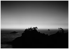 Headlands with trees at sunset. Oregon, USA (black and white)