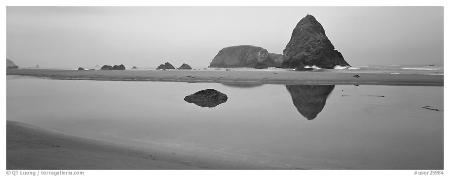 Sea stacks reflected in tidepool. Oregon, USA (black and white)