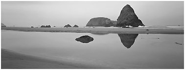 Sea stacks reflected in tidepool. Oregon, USA (Panoramic black and white)