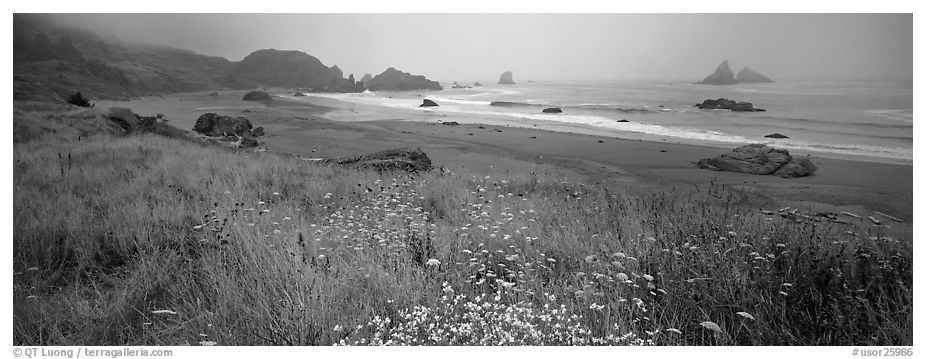 Foggy seascape. Oregon, USA (black and white)