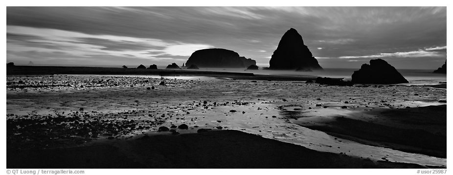 Beach and seastacks at sunset. Oregon, USA (black and white)