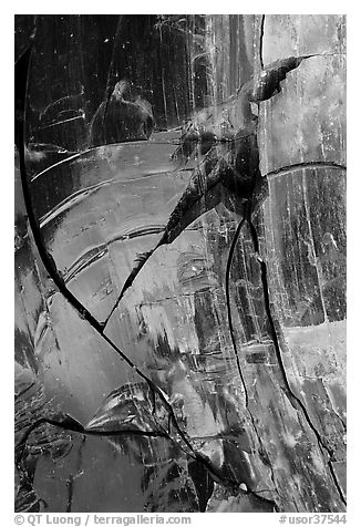 Obsidian close-up. Newberry Volcanic National Monument, Oregon, USA (black and white)