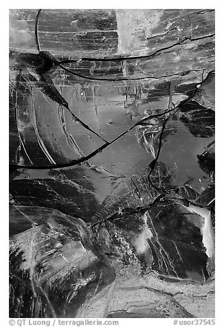 Close-up of obsidian glass. Newberry Volcanic National Monument, Oregon, USA (black and white)